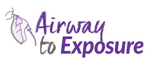 Airway to Exposure logo