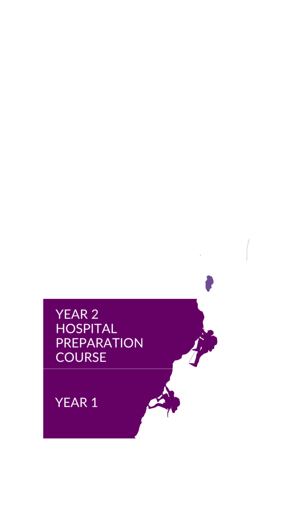 Climbing wall graphic where year one is highlighted to show the year group