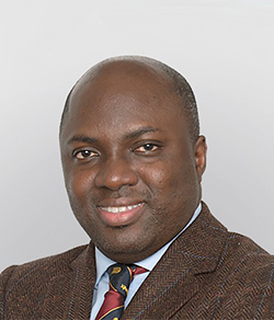 Mr Akinfemi Akingboye portrait