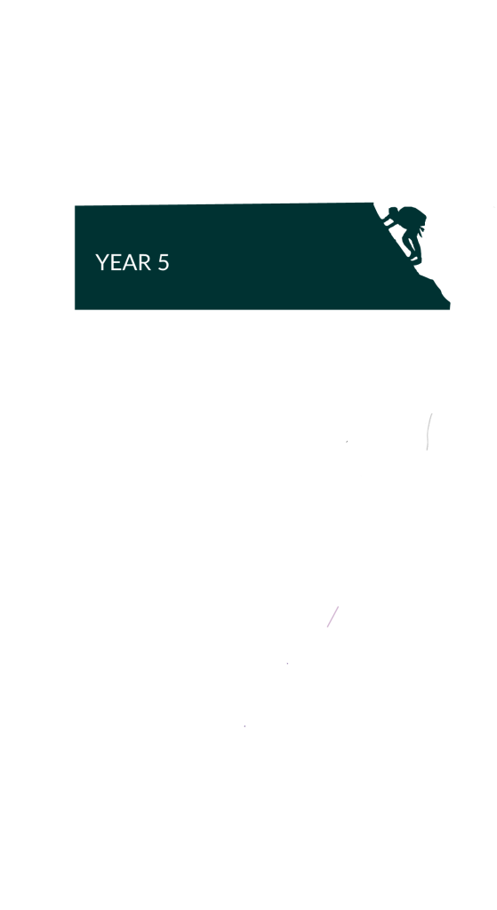 Climbing wall graphic where year 5 is highlighted to show the year group